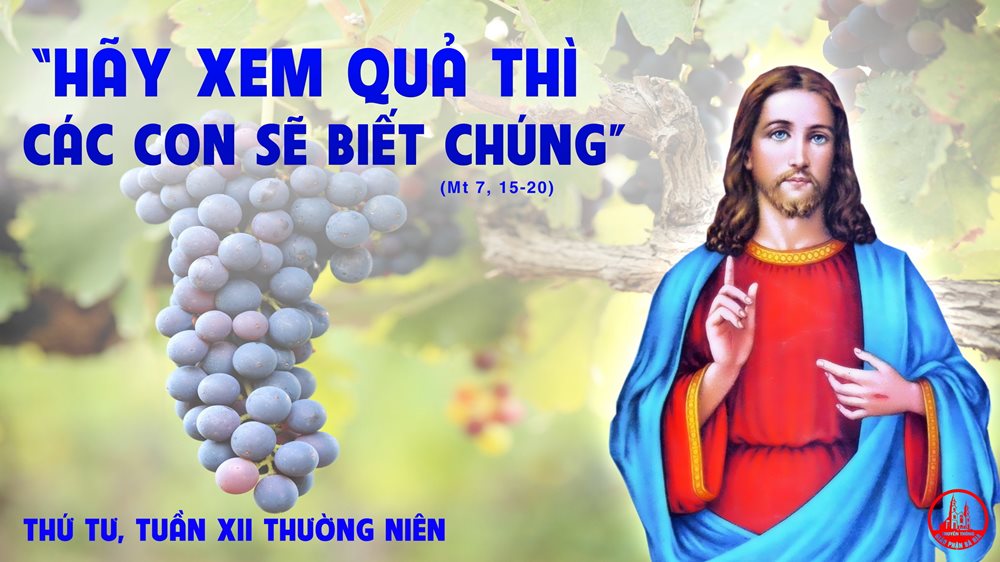 Thứ Tư tuần 12 thường niên. – Cây tốt trái tốt, cây xấu trái xấu.