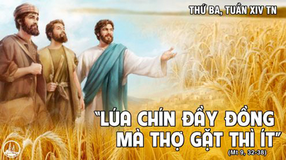 Thứ Ba tuần 14 thường niên. – Thánh Bênêđictô, viện phụ. Lễ nhớ. – Cánh đồng truyền giáo.