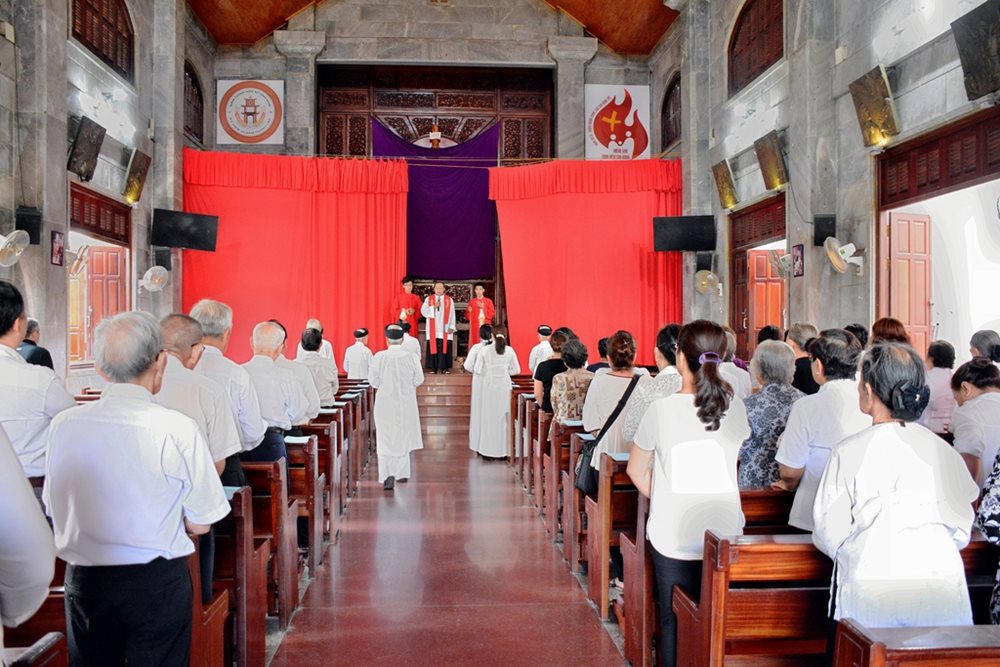 DSC_2223-(Copy)-(1).JPG