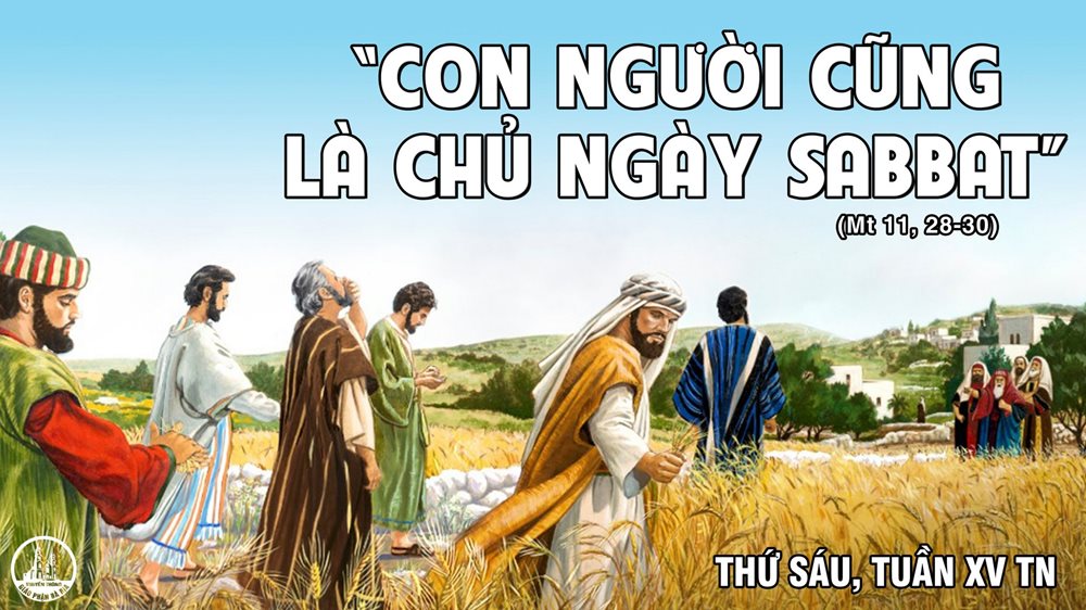 Thứ Sáu tuần 15 thường niên. – Con Người là chủ ngày Sabbat.